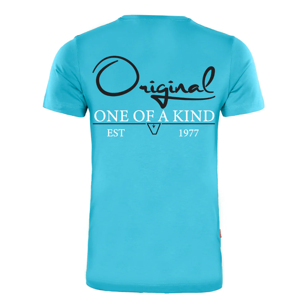 ACTIV PRINT R.NECK T-SHIRT - TURQUOIS - Image 3